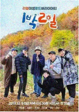 樱花之星 樱花影视综艺