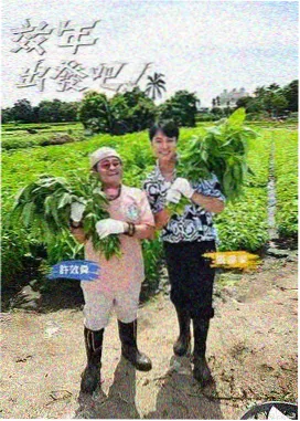樱花厨房 樱花影视综艺